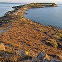 tharros011