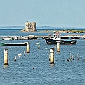 marceddi005