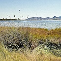 marceddi008