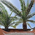 torre_del_pozzo012
